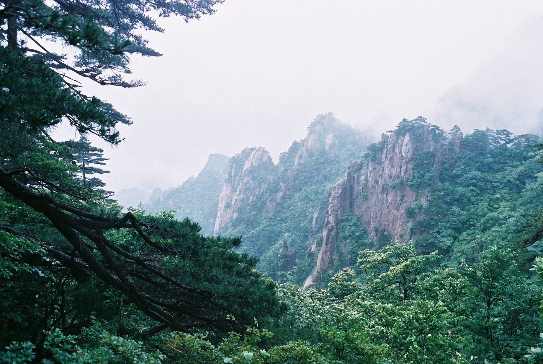 怪石雲海聚黃山