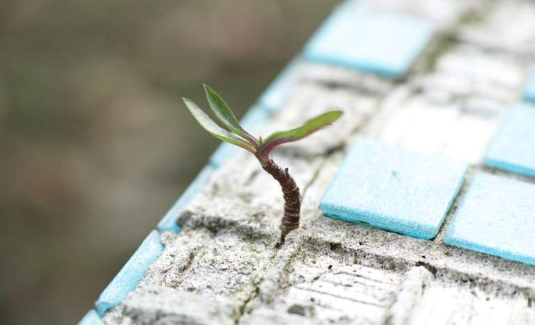 新年揮別憂鬱及焦慮，專家建議３個方法