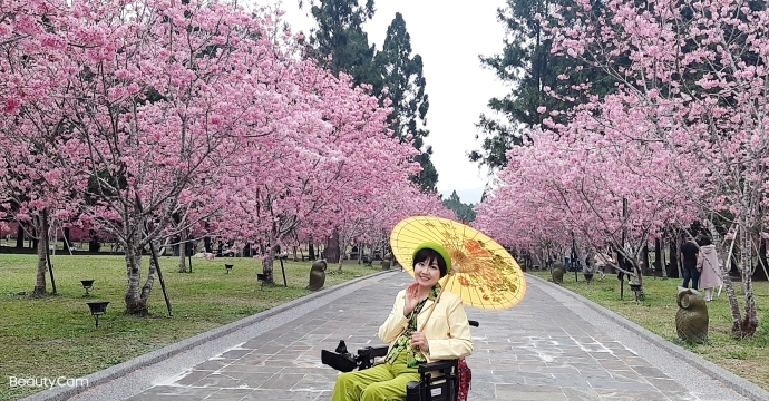 帶行動不便的家人出遊 無障礙旅遊交通.租輪椅.住宿.景點推薦