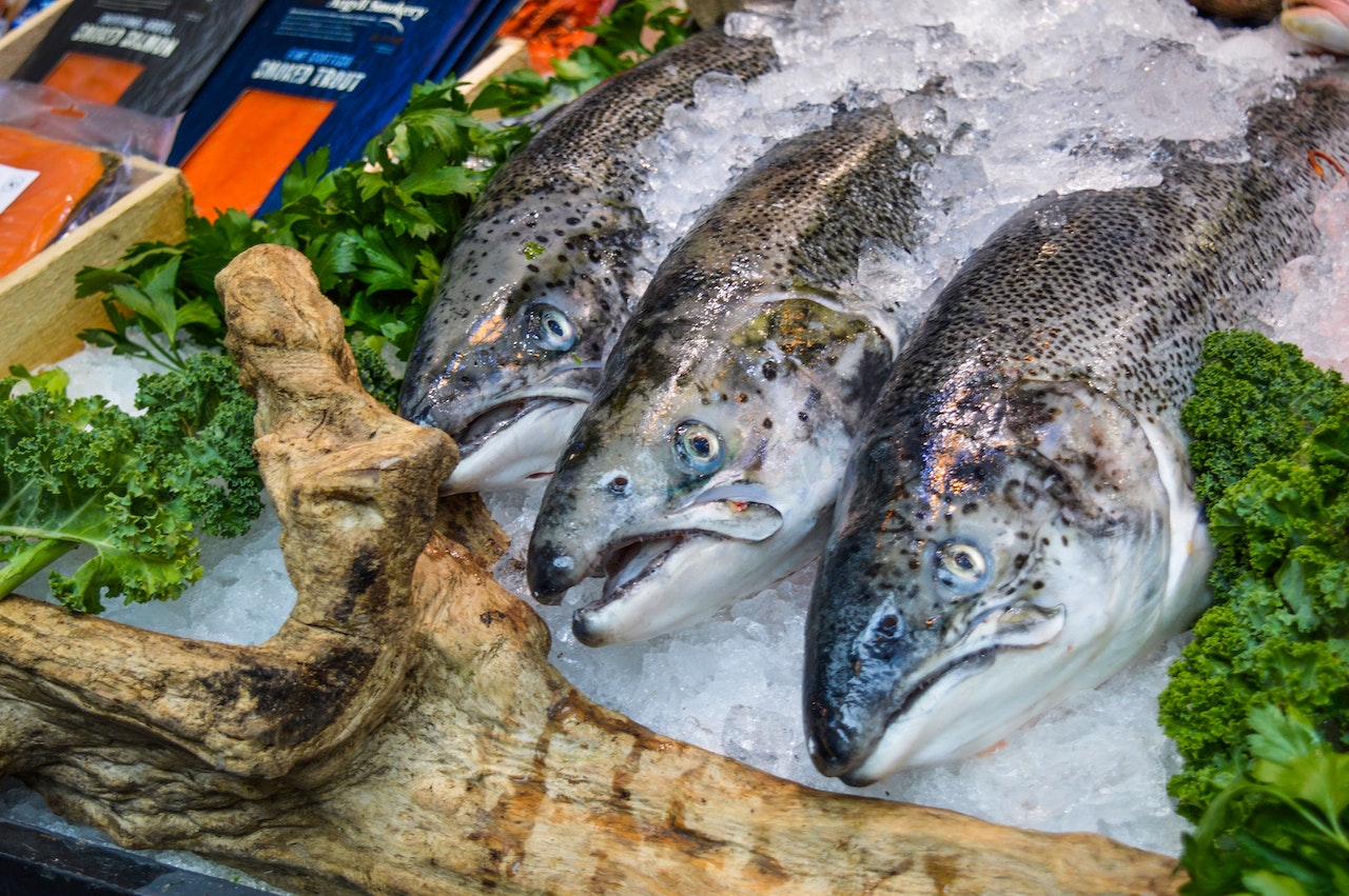 常吃深海魚會汞中毒？